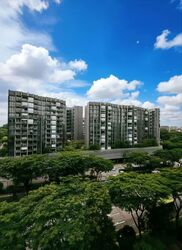 Blk 101A Alkaff Courtview (Toa Payoh), HDB 4 Rooms #552397251